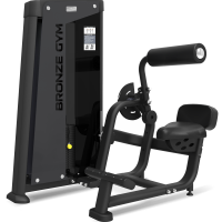 Разгибание спины профессиональное BRONZE GYM NEO 31