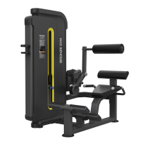 Разгибание спины профессиональное BRONZE GYM BW-3031