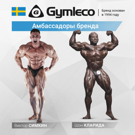Гакк-машина Gymleco 344